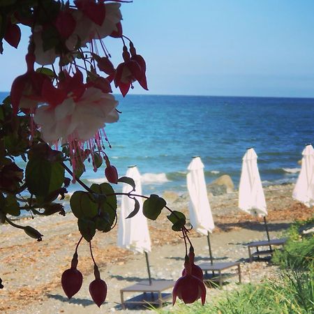 Qualicum Breeze Beach Resort Bowser Bagian luar foto