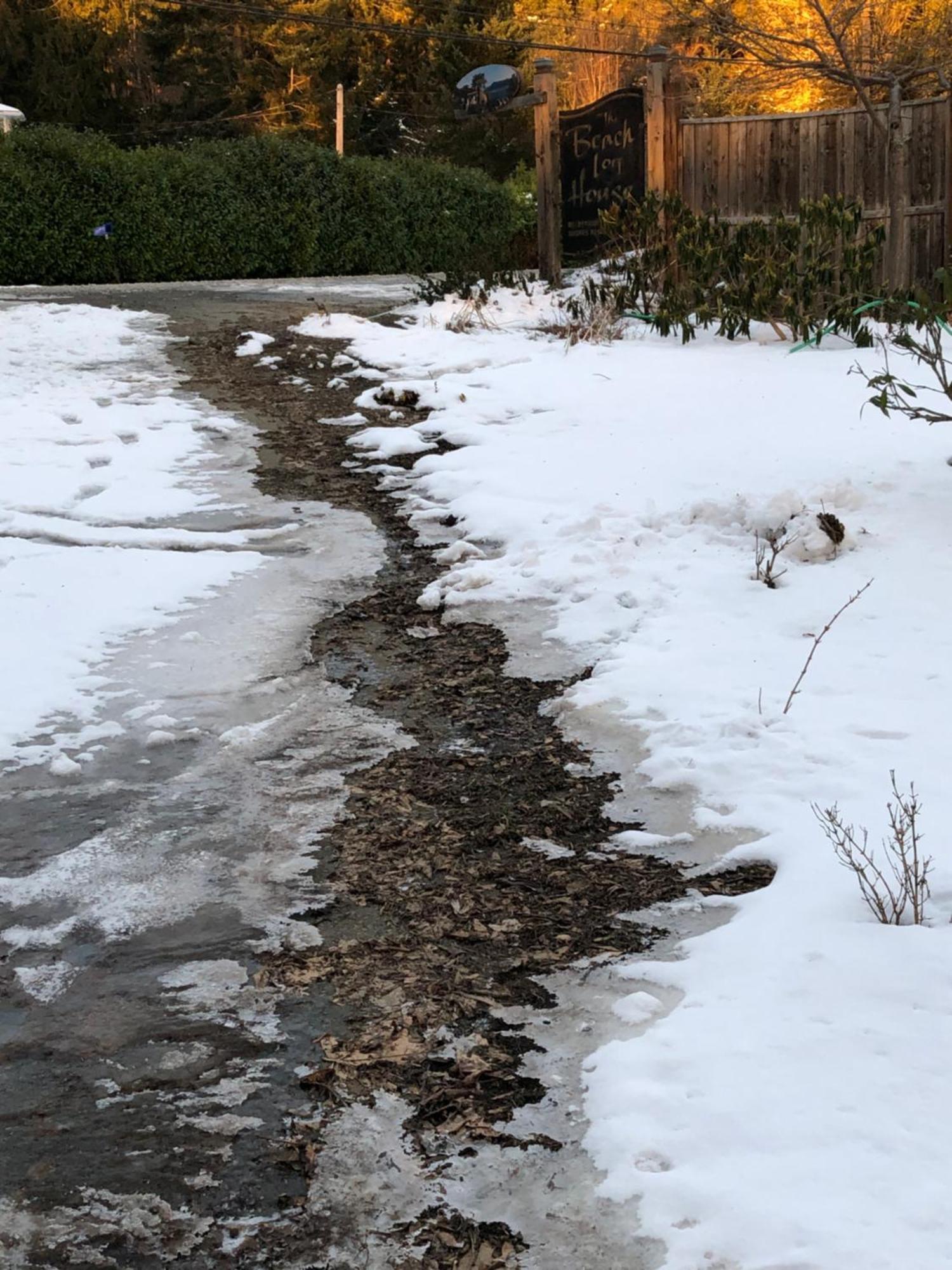 Qualicum Breeze Beach Resort Bowser Bagian luar foto